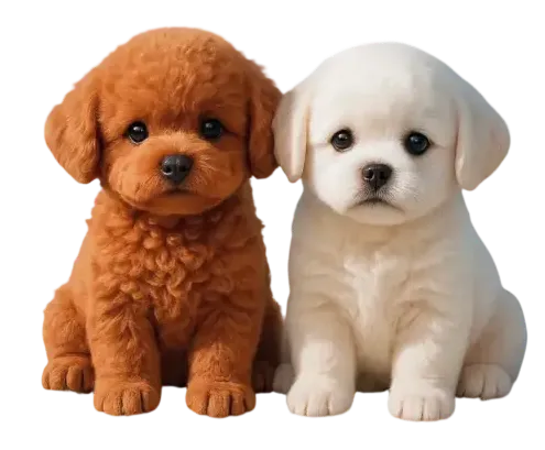 offers of Froplay ZoomerPup Puppy